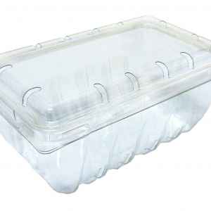 7" x 4.5" PET Produce Hinge w/rim vents, 1 Quart