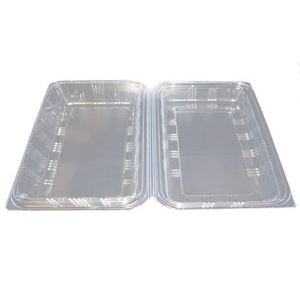 CL 9 X 6 HINGE N/C CLEAR PLUS