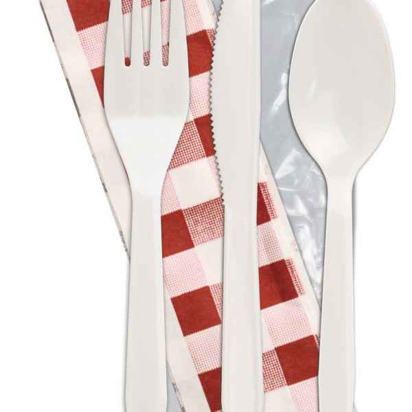 Omega White PS Fork, Knife, Teaspoon, 13X17 2-Ply Red Gingham Napkin