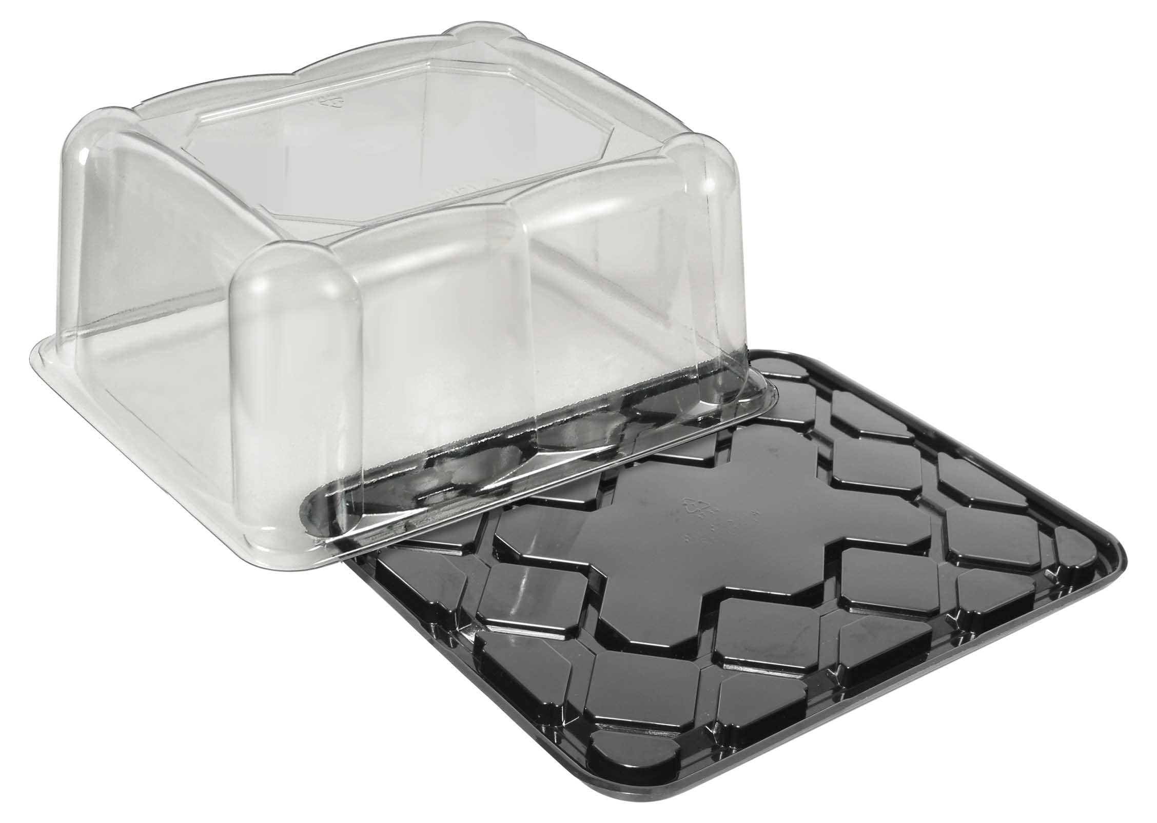 PET 1/8 SHT CLR DM/BLK BS 100SETS