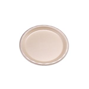 enviroware 10" PLATE WHEAT